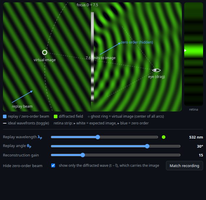 Static preview: the reconstruction — the diffracted field, the virtual-image ghost ring, the eye, and its retina strip.
