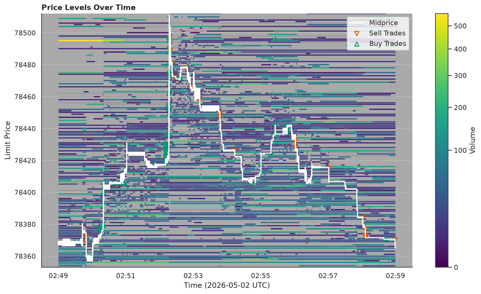 ob-analytics price-levels visualization of a reconstructed limit order book